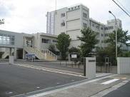 img1
